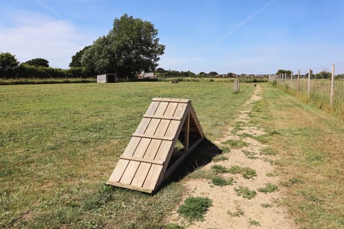 Photo of Paw Paddock Donnington