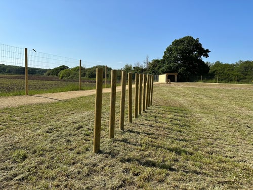 Photo of Paw Paddock Romsey