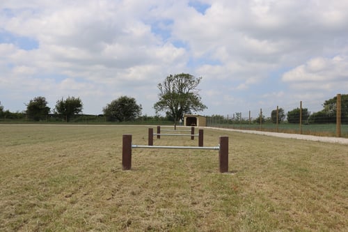 Photo of Paw Paddock Shripney
