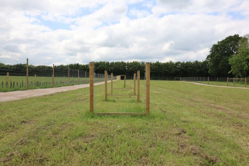 Photo of Paw Paddock Liss