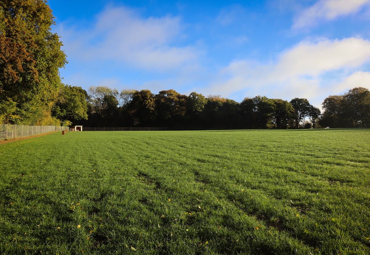 Moundsmere - Paw Paddock