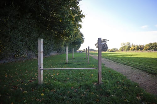 Photo of Paw Paddock Westbourne