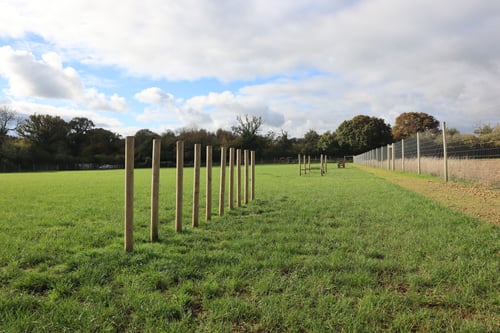 Photo of Paw Paddock Upham