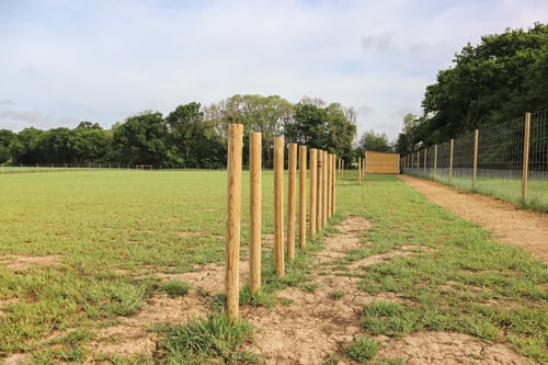 Photo of Paw Paddock Horsham