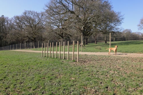 Photo of Paw Paddock Balcombe