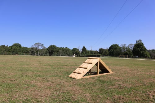 Photo of Paw Paddock Kingscote