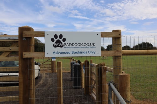 Photo of Paw Paddock Worthing
