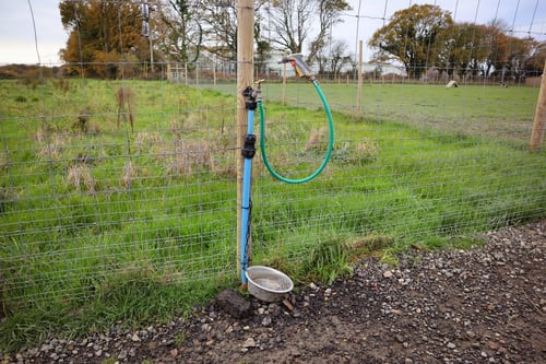 Photo of Paw Paddock Fareham