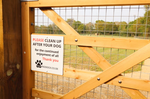 Photo of Paw Paddock Wickham East