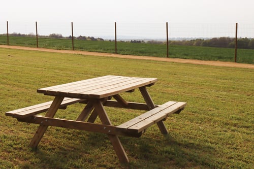 Photo of Paw Paddock Wickham East