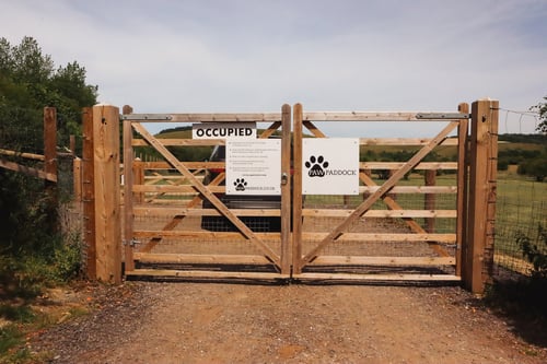 Photo of Paw Paddock East Meon