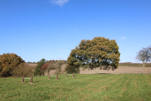 Photo of Paw Paddock North Waltham