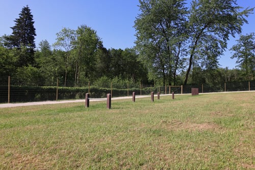 Photo of Paw Paddock Kingscote