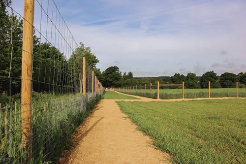 Photo of Paw Paddock Horsham