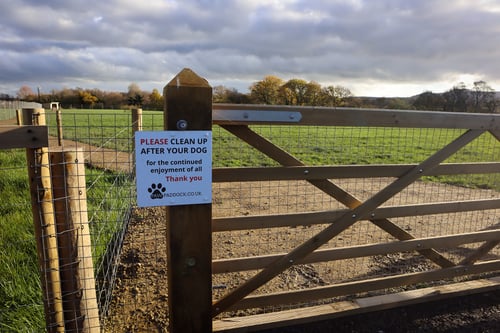 Photo of Paw Paddock Ashington
