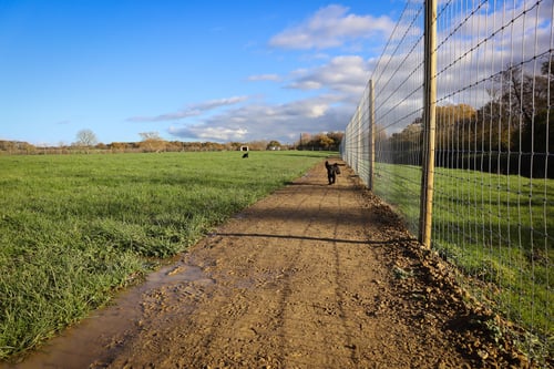 Photo of Paw Paddock Ashington