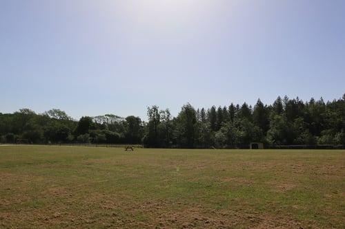 Photo of Paw Paddock Kingscote