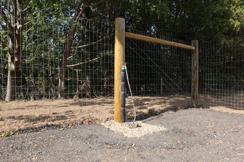 Photo of Paw Paddock Cliddesden