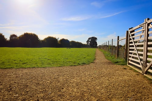 Photo of Paw Paddock Westbourne