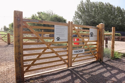 Photo of Paw Paddock Horsham