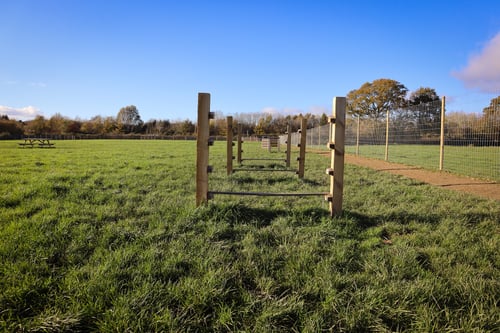 Photo of Paw Paddock Ashington