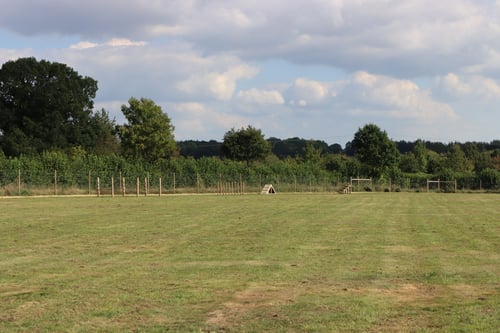 Photo of Paw Paddock Andover