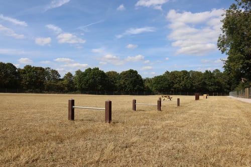 Photo of Paw Paddock Cliddesden