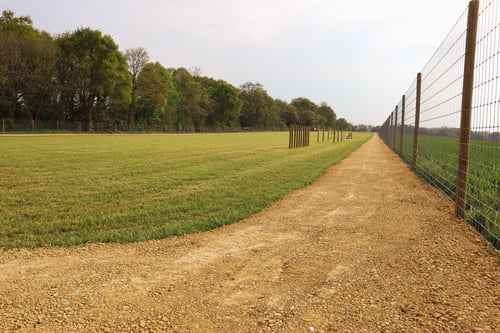 Photo of Paw Paddock Wickham East