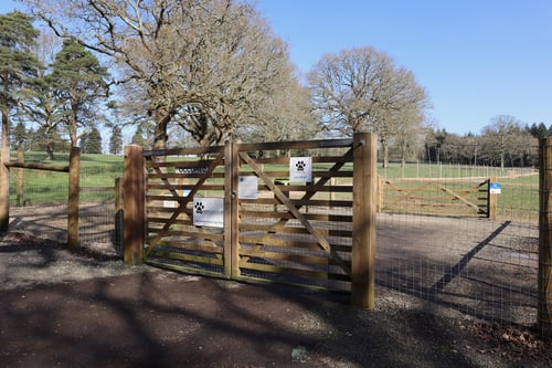 Photo of Paw Paddock Balcombe