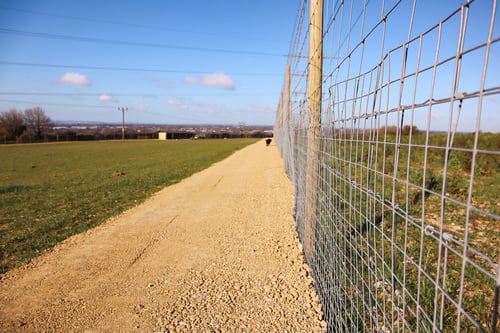 Photo of Paw Paddock Portsdown Hill