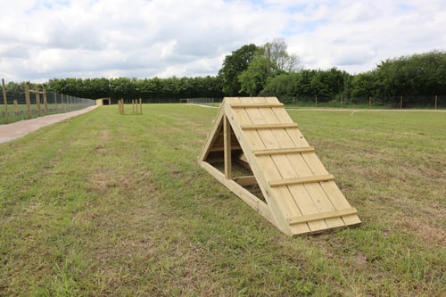 Photo of Paw Paddock Liss