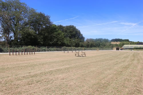 Photo of Paw Paddock Alton