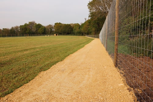 Photo of Paw Paddock Wickham East