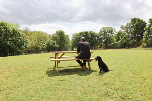 Photo of Paw Paddock Bullington