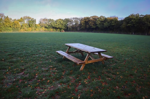 Photo of Paw Paddock Moundsmere