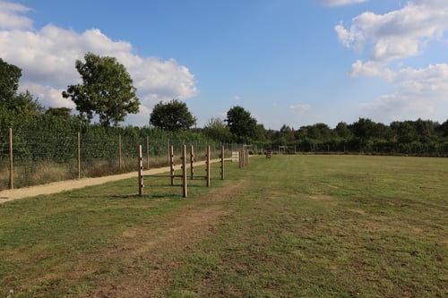 Photo of Paw Paddock Andover